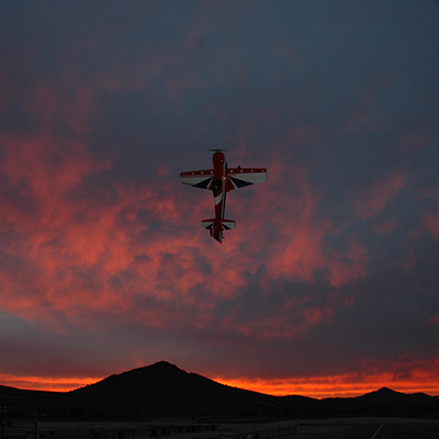 Flight at Sunset
