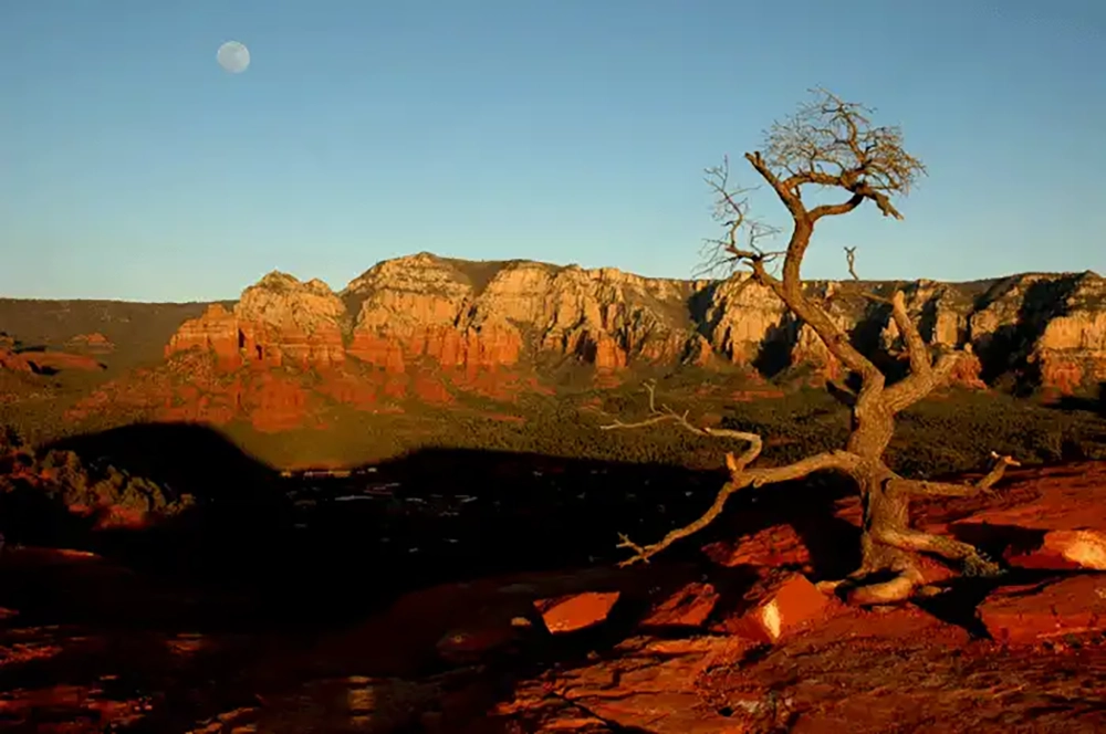 Sentry in Sedona, photography by Dennis R. Ling