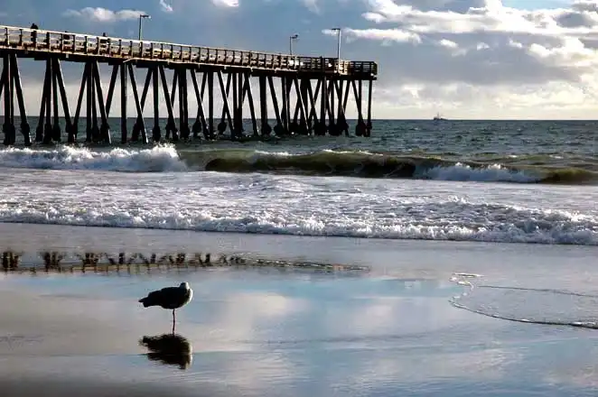 Hueneme Beach Sentry – photograph by Dennis R. Ling