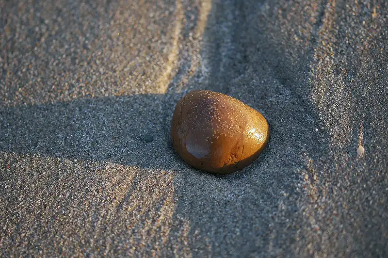 Only the Lonely – photograph by Dennis R. Ling