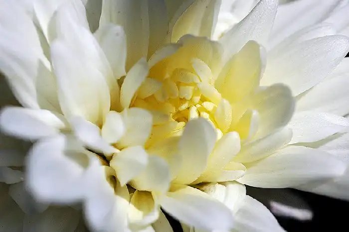 Hope - Color Photography
