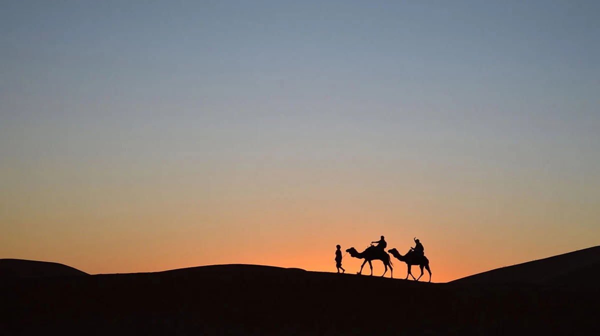 2 Camels � Landscape wallpaper by Dennis R. Ling