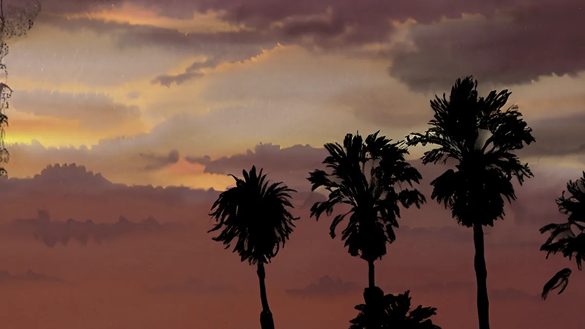 Palms � Landscape wallpaper by Dennis R. Ling