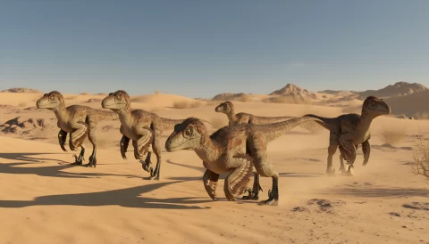 Velociraptor Herd � digital wallpaper by Dennis R. Ling