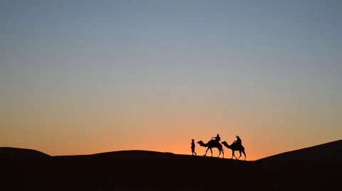 2 Camels � digital wallpaper by Dennis R. Ling