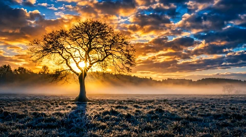 Sunset In The Fall � digital wallpaper by Dennis R. Ling